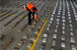 Hải quân Colombia thu giữ 27 tấn cocaine