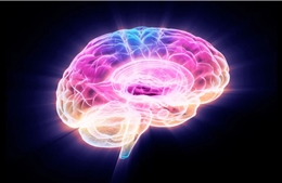 Phát hiện protein giúp bảo vệ sức khỏe não bộ khi lão hóa