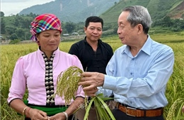 Viện sĩ của nhà nông