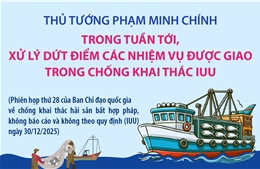 Trong tuần tới, xử lý dứt điểm các nhiệm vụ được giao trong chống khai thác IUU