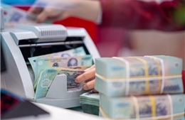 Mức xử phạt đối với một số hành vi vi phạm hành chính trong lĩnh vực phí và lệ phí