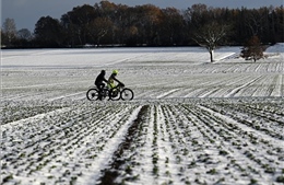 Đức tê liệt vì bão, tuyết và băng giá ngay đầu năm mới