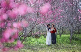 Tín hiệu tích cực của du lịch Điện Biên đầu năm 2026