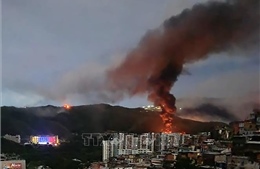 Liên minh châu Mỹ kêu gọi trả tự do cho Tổng thống Nicolas Maduro 