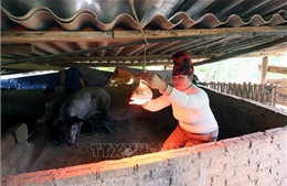 Cảnh báo rét hại và sương muối tại Sơn La