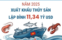 Năm 2025, xuất khẩu thủy sản lập đỉnh 11,34 tỷ USD