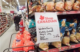 Thương mại Bắc Mỹ trước ngã rẽ: USMCA có nguy cơ rơi vào bế tắc kéo dài