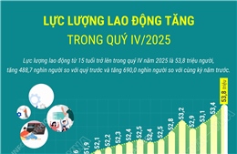 Lực lượng lao động tăng trong quý IV/2025
