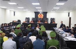 Vụ sữa giả tại Z Holding: Hàm lượng trong sữa giả vượt quá mức công bố không đồng nghĩa với 'tốt hơn'