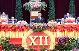 Vững bước trên con đường xã hội chủ nghĩa