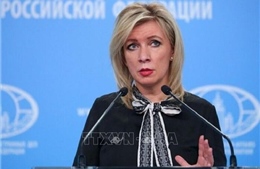 Nga chỉ trích kế hoạch hòa bình của phương Tây