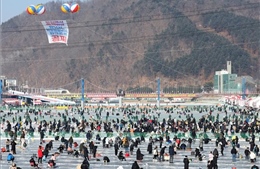 Lễ hội cá hồi núi Hwacheon khẳng định vị thế kỳ quan mùa Đông thế giới