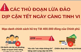 Các thủ đoạn lừa đảo dịp cận Tết ngày càng tinh vi
