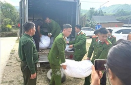 Nghệ An trao tặng gạo cho các hộ nghèo, khó khăn tại xã miền núi vùng cao