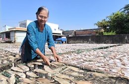 Làng nghề cá khô ven biển tăng công suất gấp 3 lần phục vụ Tết