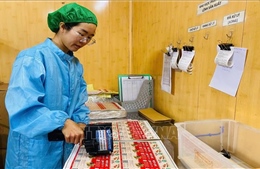 Kỳ vọng về nông nghiệp xanh, nông nghiệp tuần hoàn trong kỷ nguyên mới