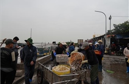 Cảng cá, bến cá tuyên truyền phòng chống rét cho ngư dân