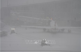 Mỹ: Bão gây tê liệt giao thông đường bộ và hàng không