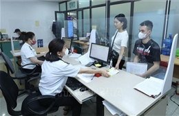 Phòng, chống dịch bệnh do virus Nipah ngay tại cửa khẩu