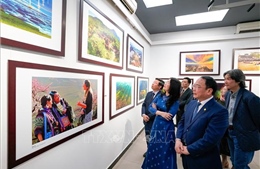 Khai mạc Triển lãm ảnh Mừng Đảng, Mừng Xuân và thành công Đại hội XIV của Đảng