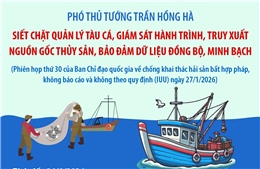 Phiên họp thứ 30 của Ban Chỉ đạo Quốc gia về chống khai thác hải sản bất hợp pháp