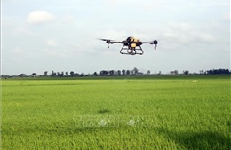 Xây dựng cơ sở dữ liệu: Nền tảng chuyển đổi số nông nghiệp và môi trường