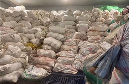 Thu giữ hơn 60 tấn lòng lợn không rõ nguồn gốc, xuất xứ