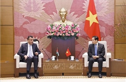 Nâng cao hiệu quả tham mưu, phục vụ cơ quan lập pháp Việt Nam - Jordan