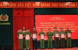 Phá thành công Chuyên án cướp ngân hàng ở Gia Lai