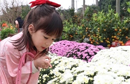 Hương xuân lan tỏa từ chợ hoa Tết