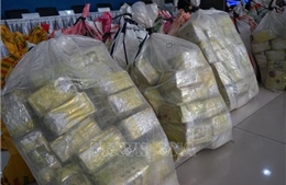 Thổ Nhĩ Kỳ thu giữ hơn 1 tấn ma túy trong chiến dịch truy quét quy mô lớn  