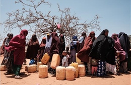 Hạn hán nghiêm trọng đẩy hàng triệu người châu Phi vào cảnh thiếu lương thực