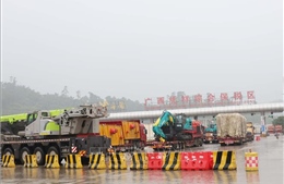 Việt Nam và Trung Quốc đẩy mạnh hợp tác thương mại nông sản