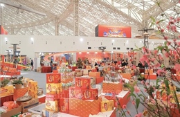 Kinh nghiệm kết nối doanh nghiệp và ứng dụng công nghệ số của CH Séc