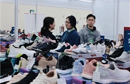 Những bài học kinh nghiệm từ Ai Cập và triển vọng hợp tác