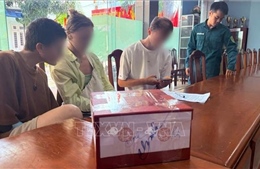 Đà Nẵng: Phát hiện người nước ngoài điều khiển flycam trái phép