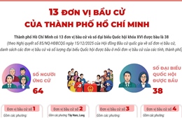 13 đơn vị bầu cử của Thành phố Hồ Chí Minh