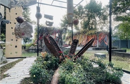 Đánh thức ký ức chiến tranh bằng ngôn ngữ sắp đặt đương đại