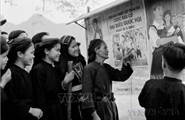 Những nguyên tắc trong bầu cử đại biểu Quốc hội và đại biểu Hội đồng nhân dân