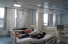 Vụ nghi ngộ độc sau khi ăn bánh mì ở TP Hồ Chí Minh: Thêm nhiều ca nhập viện điều trị