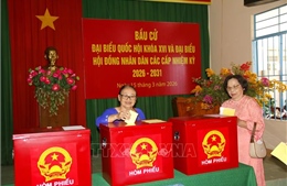 Cử tri Lâm Đồng náo nức đi bầu cử đại biểu Quốc hội và HĐND các cấp