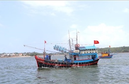 Ngày hội non sông tại Khu kinh tế Dung Quất, Quảng Ngãi