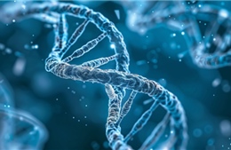 Tìm ra 'gót chân Achilles' của ung thư vú bộ ba âm tính