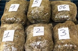 Giấu cần sa trong các kiện hàng quần áo cũ rồi chuyển phát nhanh đến người mua