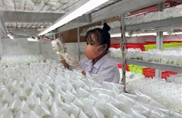 Kích hoạt động lực trụ cột - Bài 3: Khi nguồn lực được 'mở khóa'