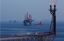 Kích hoạt động lực trụ cột - Bài cuối: Động lực mới cho vai trò dẫn dắt