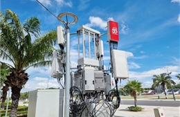 Chinh phục mạng 6G - Doanh nghiệp Việt làm chủ công nghệ chiến lược