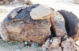 Hé lộ bí ẩn người tiền sử ở miền Bắc bán đảo Arập