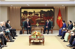 Thủ tướng Phạm Minh Chính tiếp Đoàn thanh tra chống khai thác IUU của EC