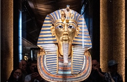 Phục chế thành công đầu tượng Pharaoh Ramses II tại đền thờ Abydos (Ai Cập)